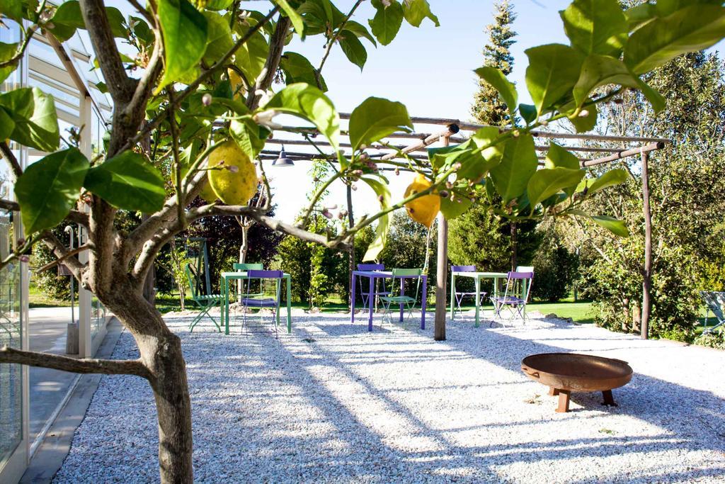 Agriturismo Humile 基安奇安诺泰尔梅 外观 照片